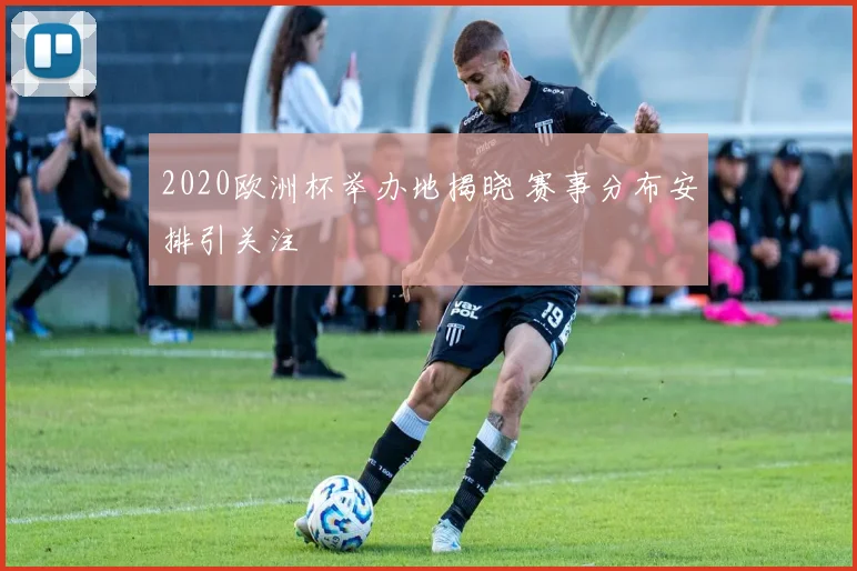 2020欧洲杯举办地揭晓 赛事分布安排引关注