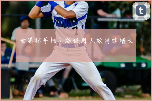 世界杯手机买球使用人数持续增长
