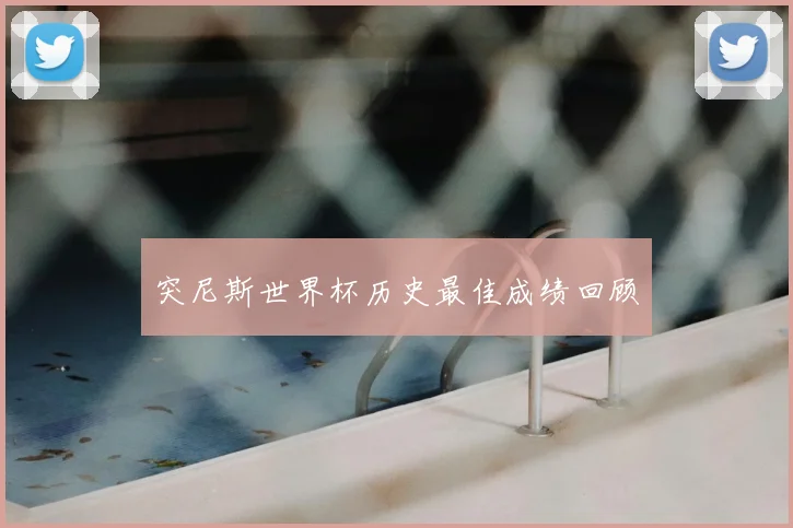 突尼斯世界杯历史最佳成绩回顾
