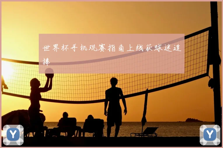 世界杯手机观赛指南上线获球迷追捧