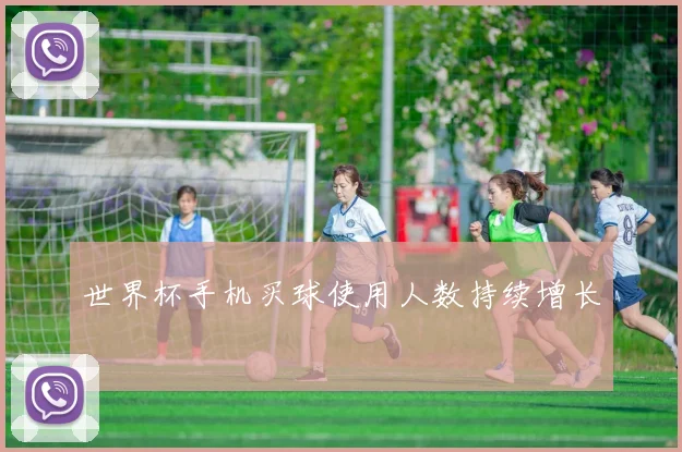 世界杯手机买球使用人数持续增长